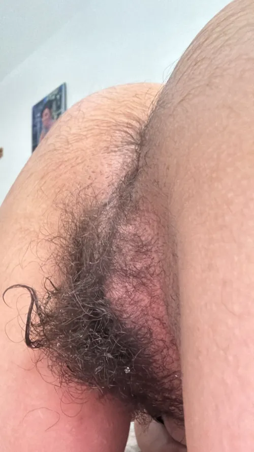 Thumbnail LickedySlit: 'Hairy' Revelation - Hairier From the Back!