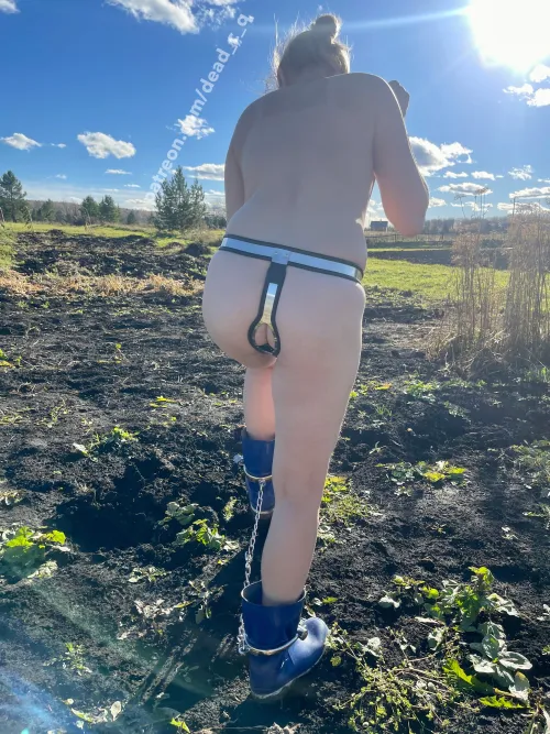 Thumbnail Dive into '3' by dead_c_q | Category: femalechastity