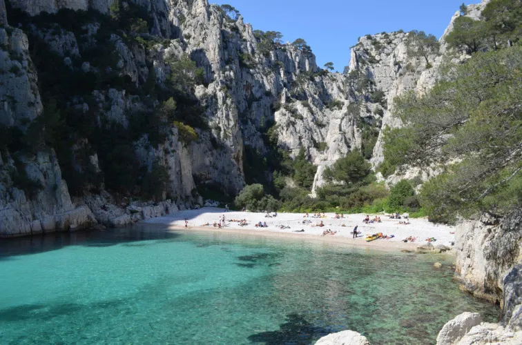 Thumbnail wild_inked Explores the Tranquility of 'Cove of SaintBarthlmy' - Beach Bliss