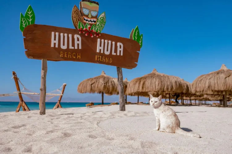 Thumbnail Island Oasis: Discovering Relaxation at Hula Hula Beach