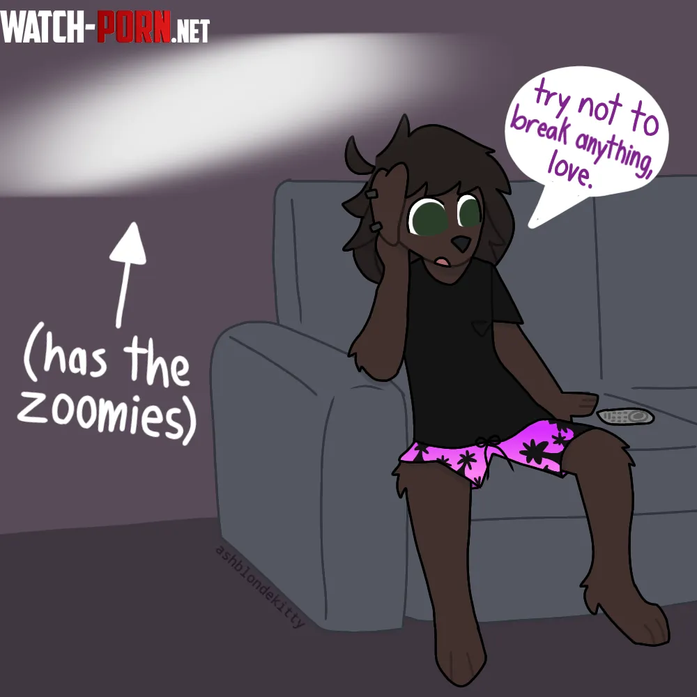 zoomies by ashblondekitty