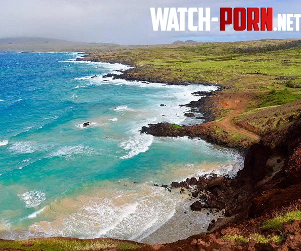 Beautiful lava rock coast in Easter island  by colapepsikinnie