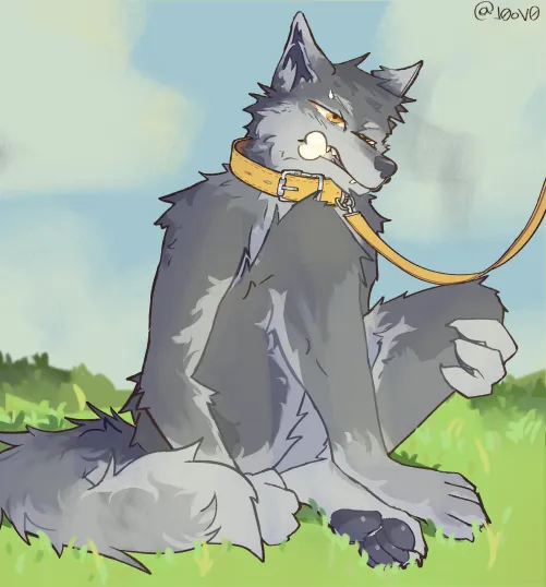 Thumbnail netinhovo's Friendship Journey: Making a Furry Friend