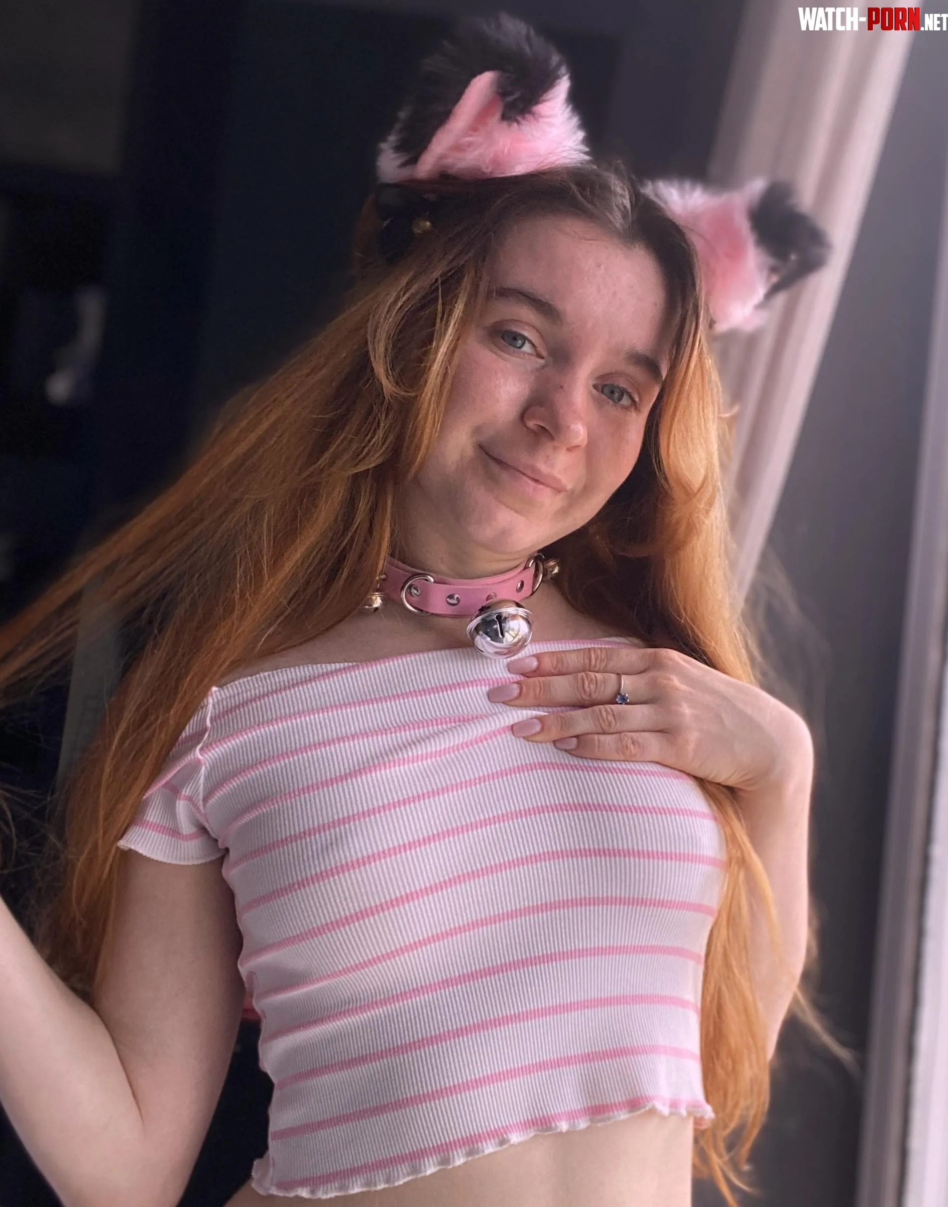 Im trying to be a wild cat but Im still a cute kitty at heart by Angelfrom_Sky