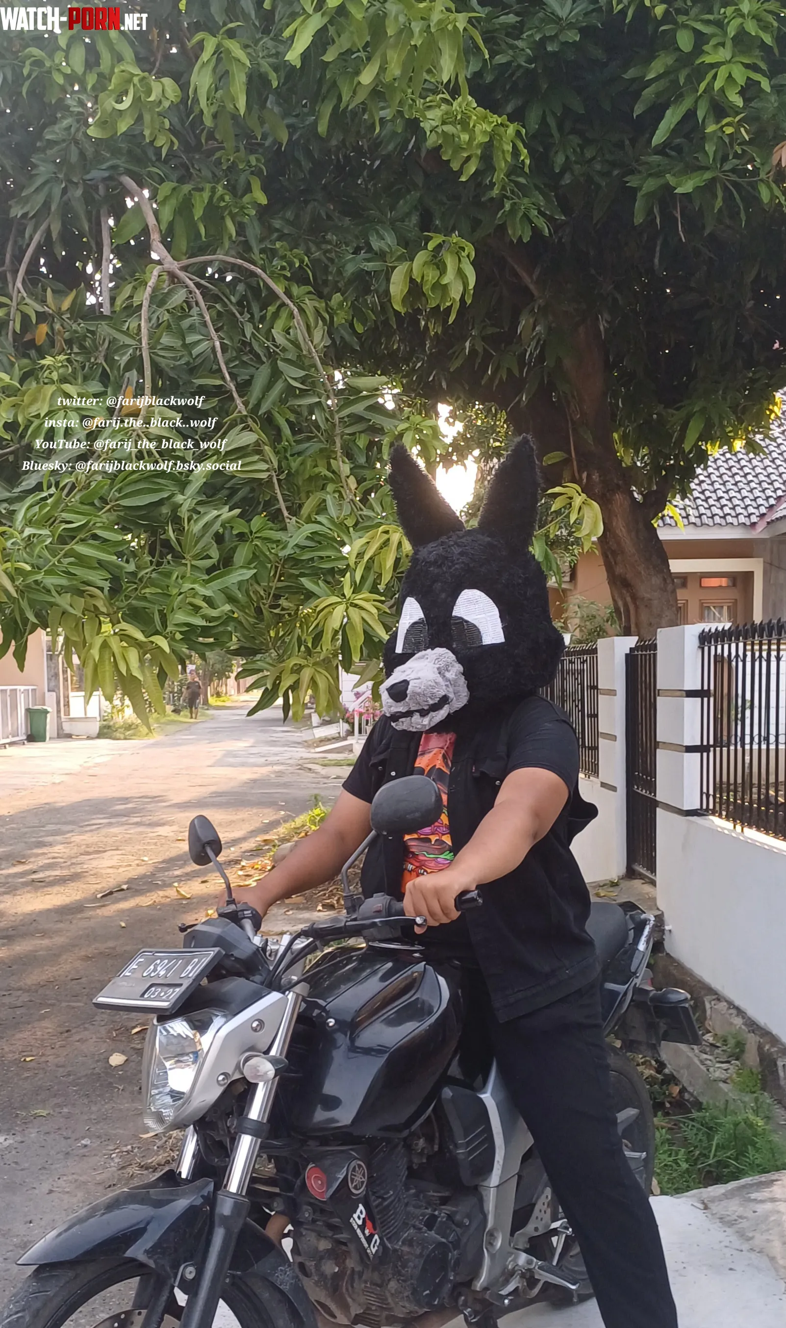 Black wolf and his ride  by Shoddy_Equipment_641