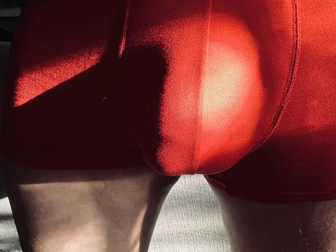 Thumbnail Embracing the Golden Hour Bulge Trend with HeavyhangingD