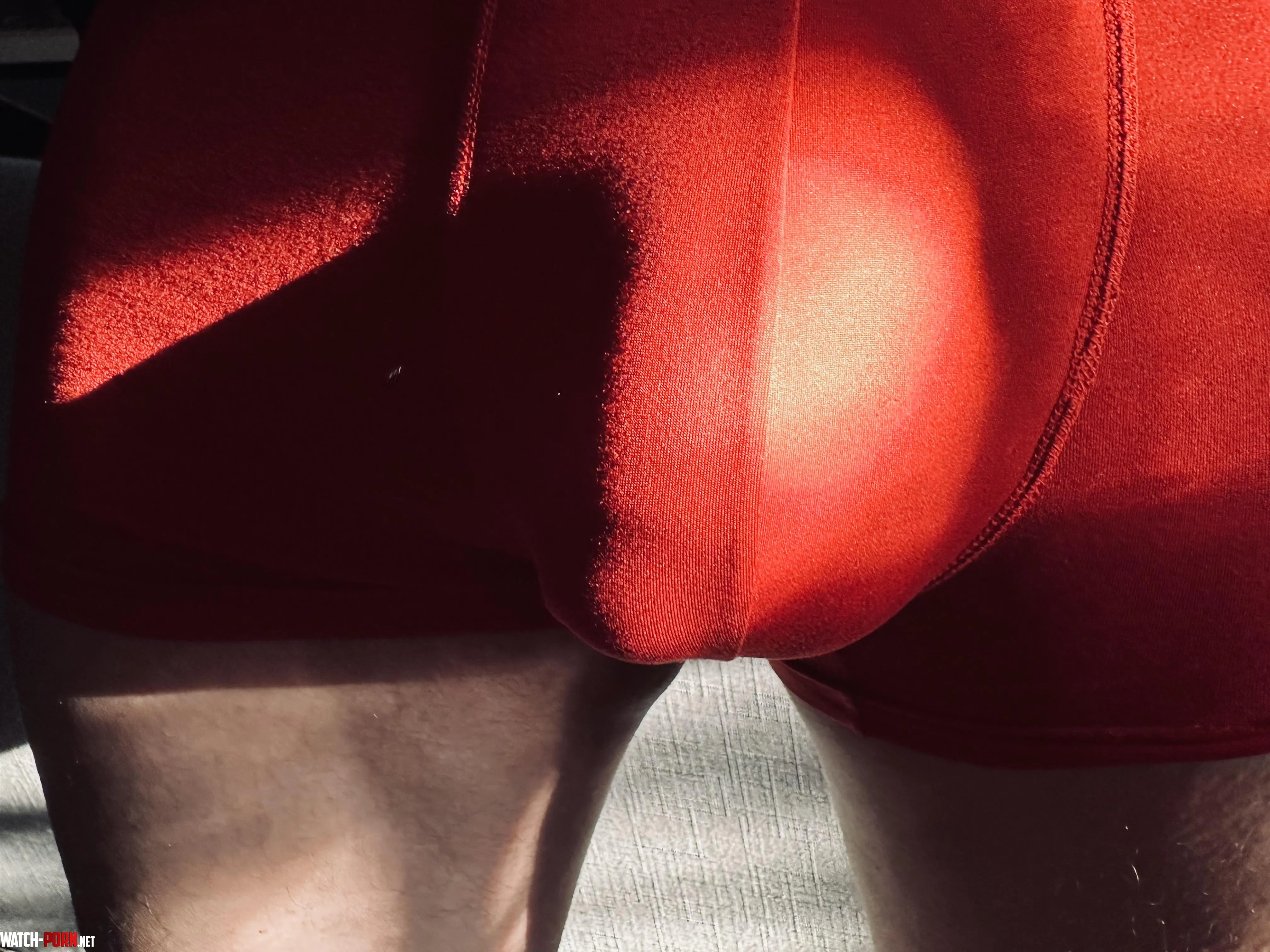 Golden hour bulge  by HeavyhangingD