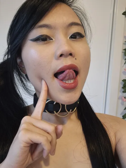 Thumbnail meowling98's Playful Charm as “I'm a Cute Collared Kitty” Unveiled