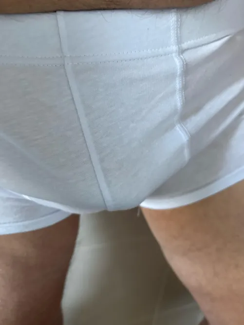 Thumbnail Bulge Chronicles: Soft in underwear 26 M by FlexFitt98