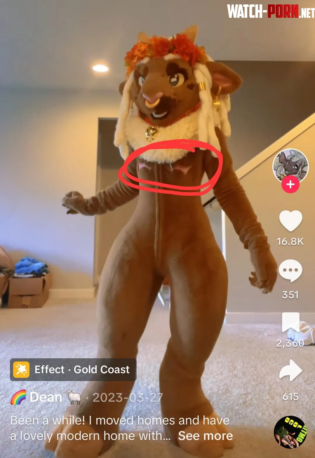 Would it be offensive to make a fursuit with top surgery scars as a cis woman me by ExtraPizzaPls