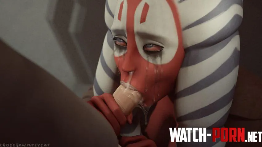 Shaak Ti crossbowpussycat by DeDodenakker2