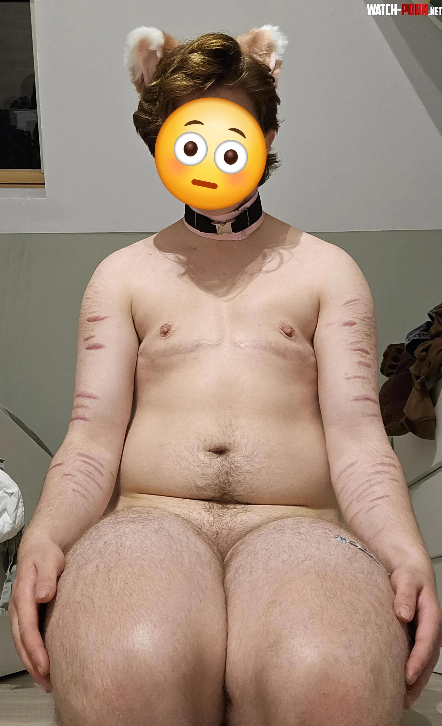 Train me to be a good pup I even got ears and a collar by slutty-horny-pup