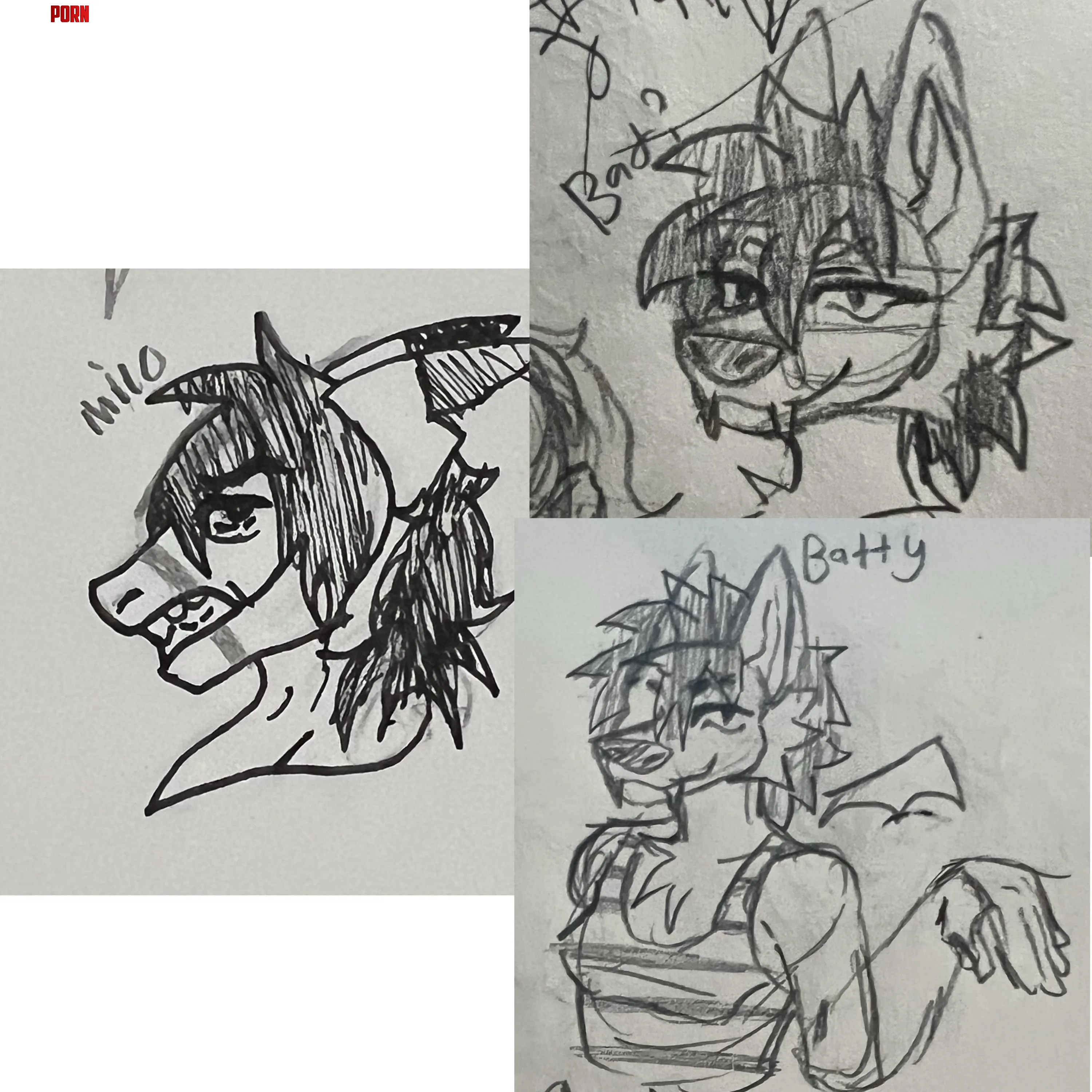 Recent character sketches D shark and a bat  by Naive-Appointment231