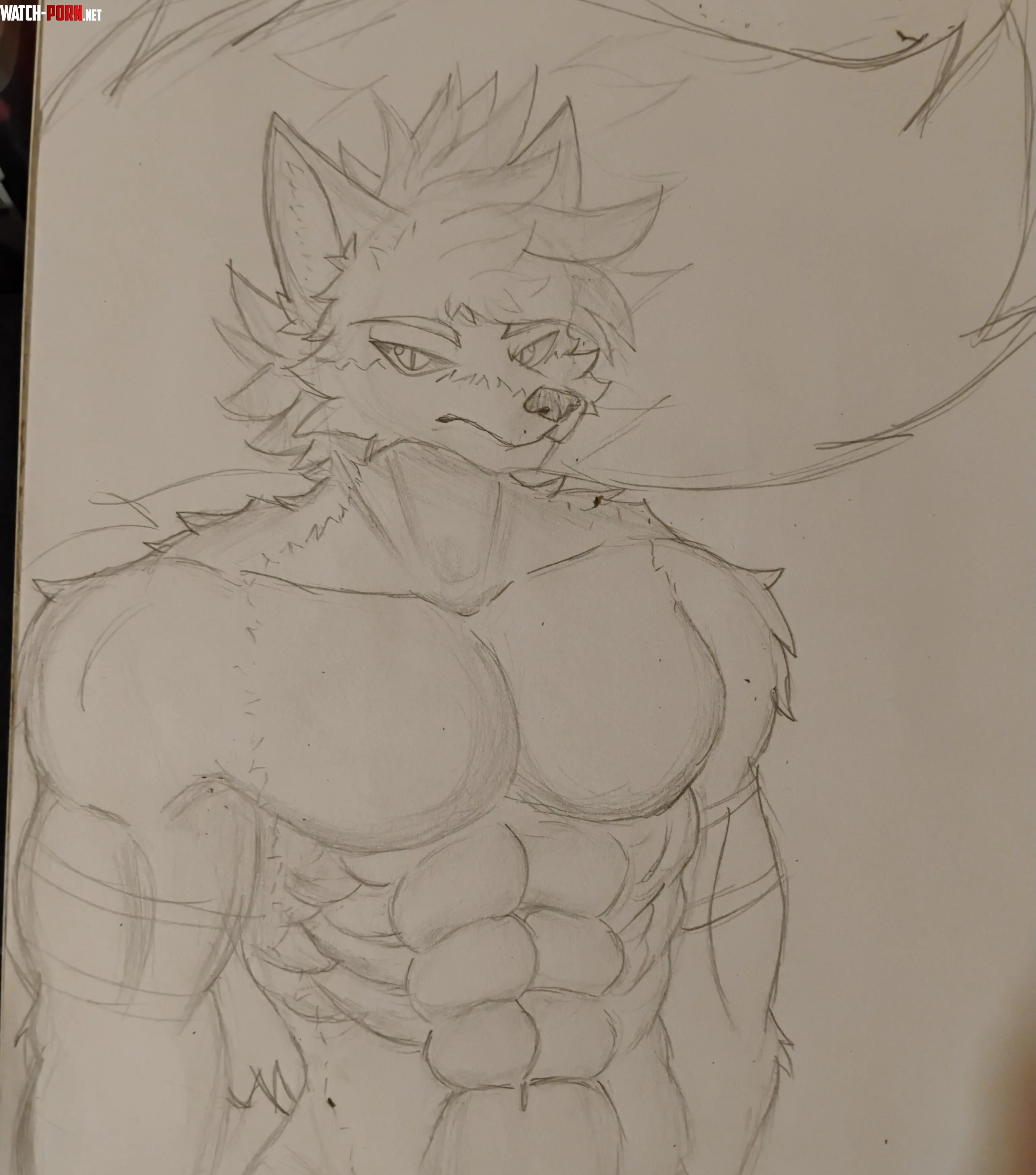 Forgot to draw My Fox art by me by Zelfos312