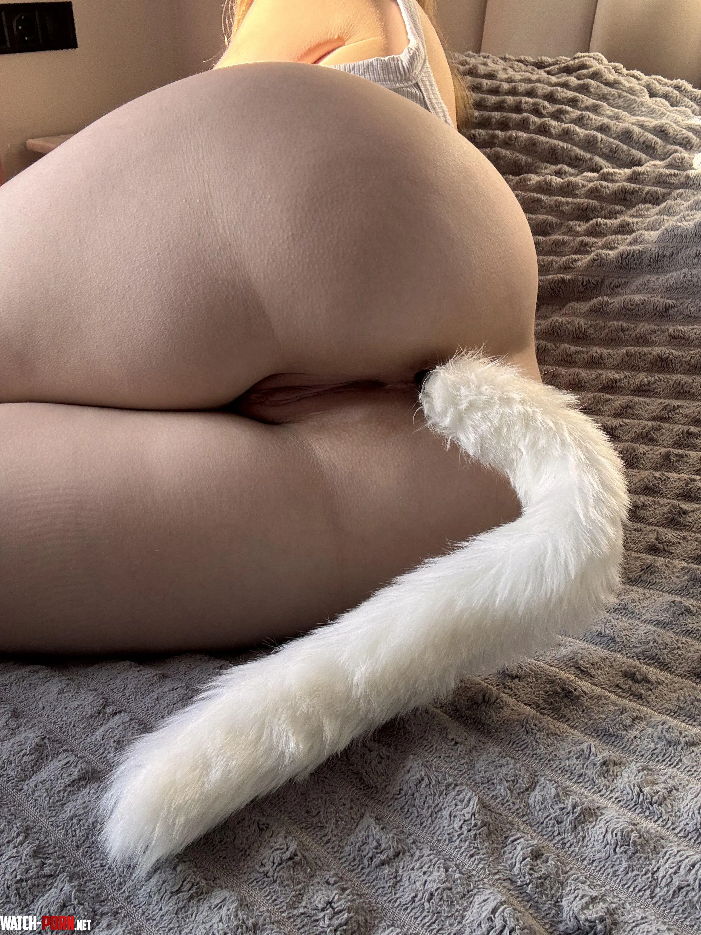 My tail plug feels so good by Enincha