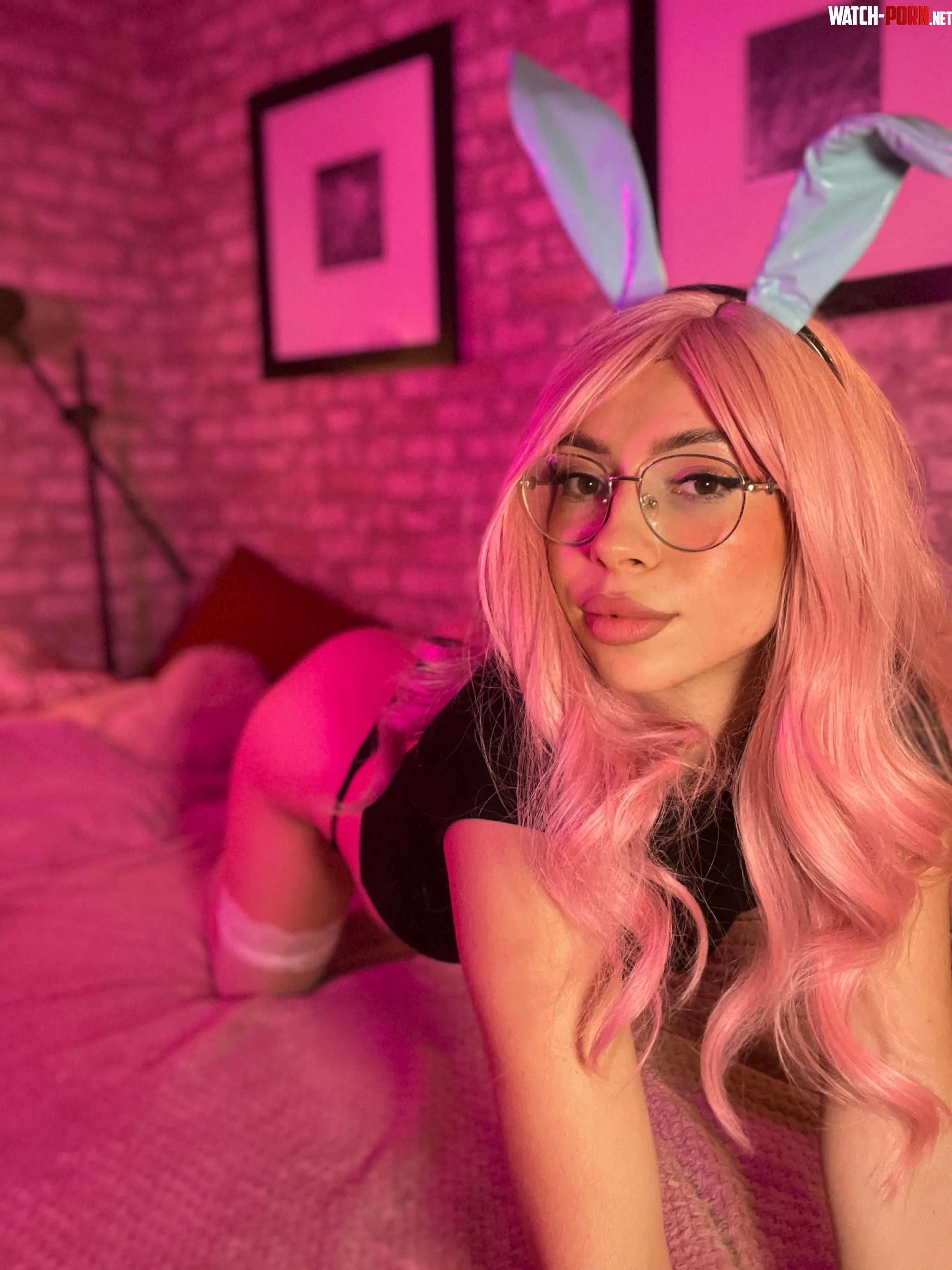bunny looking for owner by Just_a_Person-