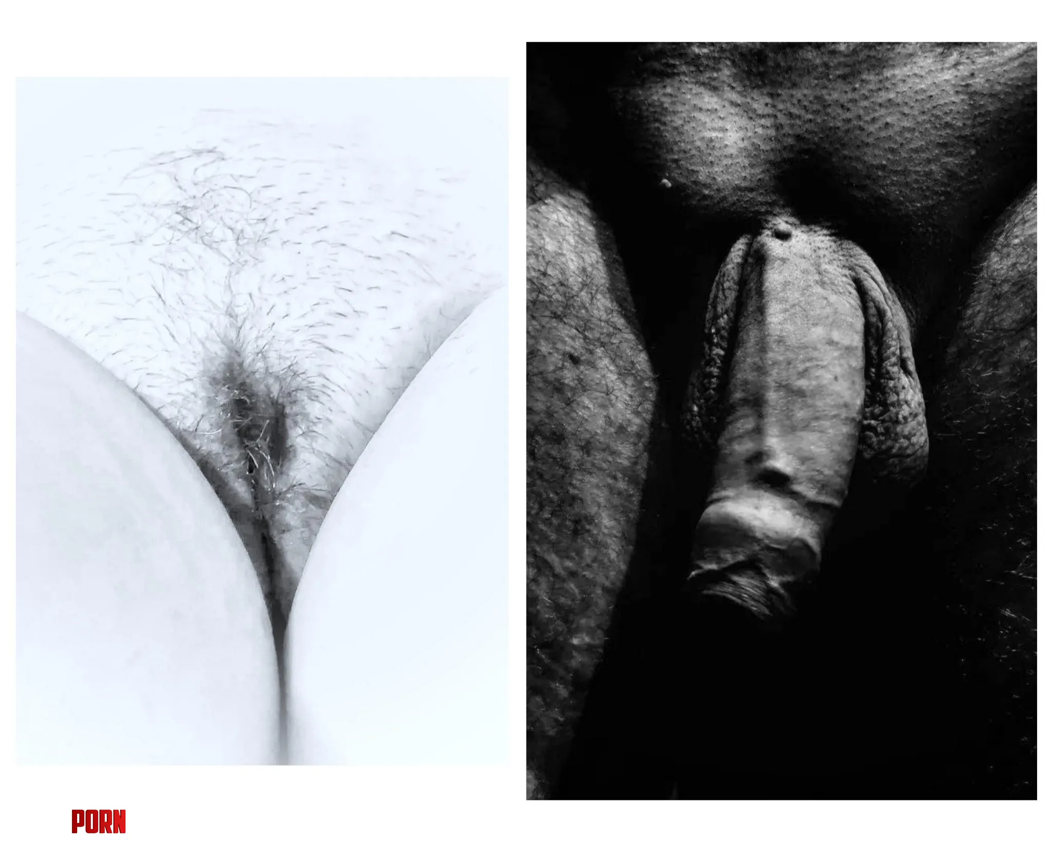 50couple What do we look like to you would you join us by Adventurous_Fig9762