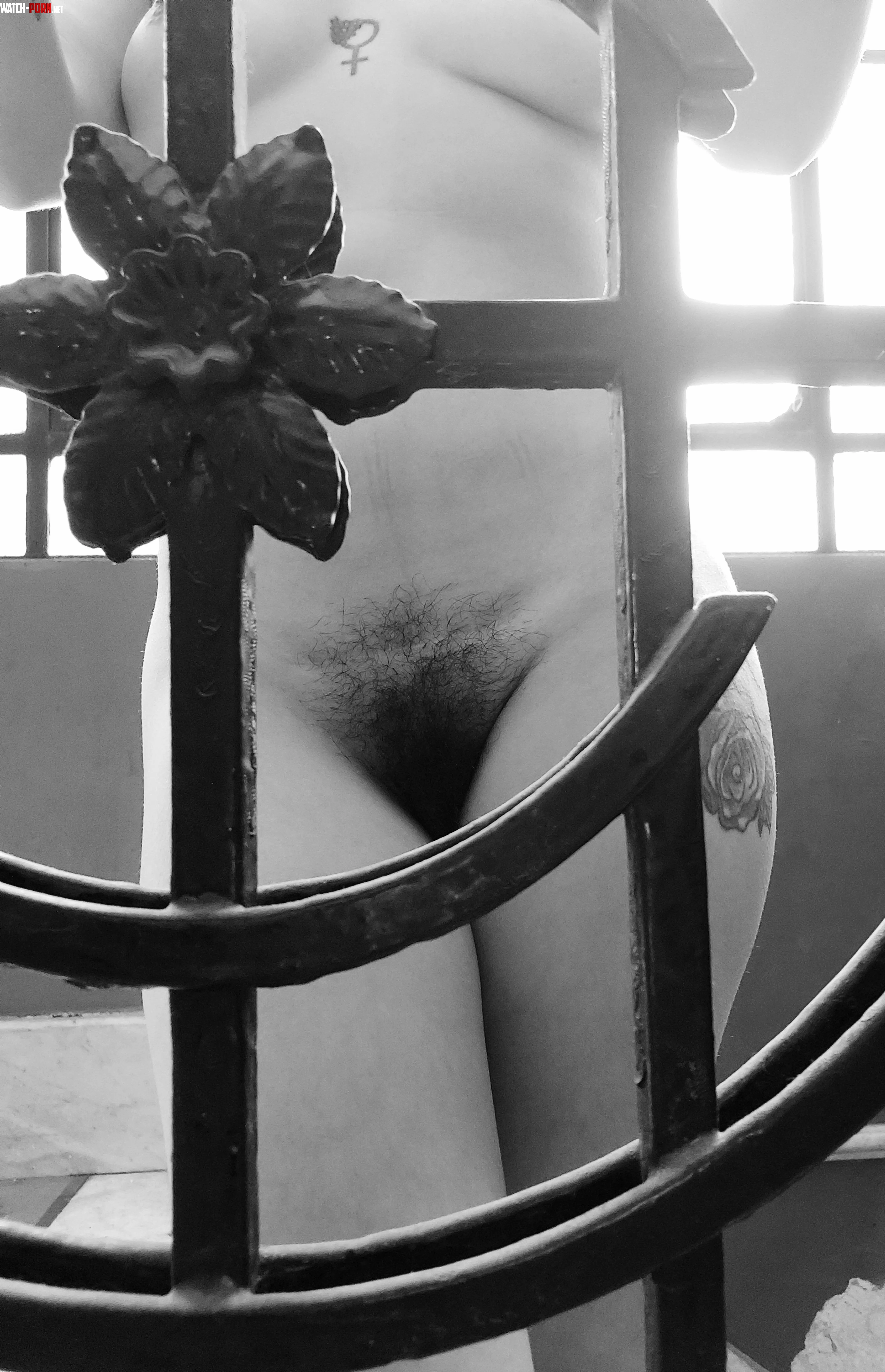 Artistic hairy pussy  by Missdominayei