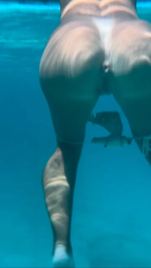 Thumbnail Underwater Delight: Checking How Spread My Asshole Is by SwollenGigi