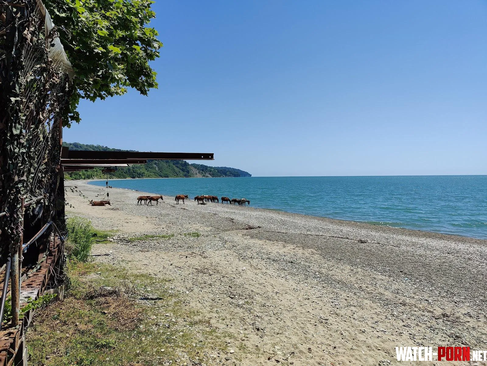 Gold Coast Beach Abkhazia by rosymelanie