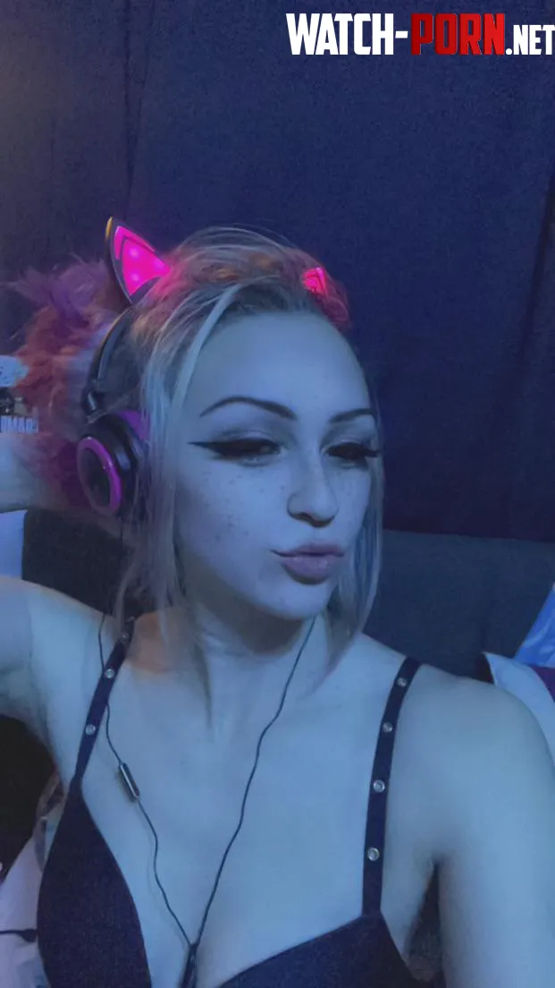 Havent posted in a bit but felt cute here  by xxxkitty26