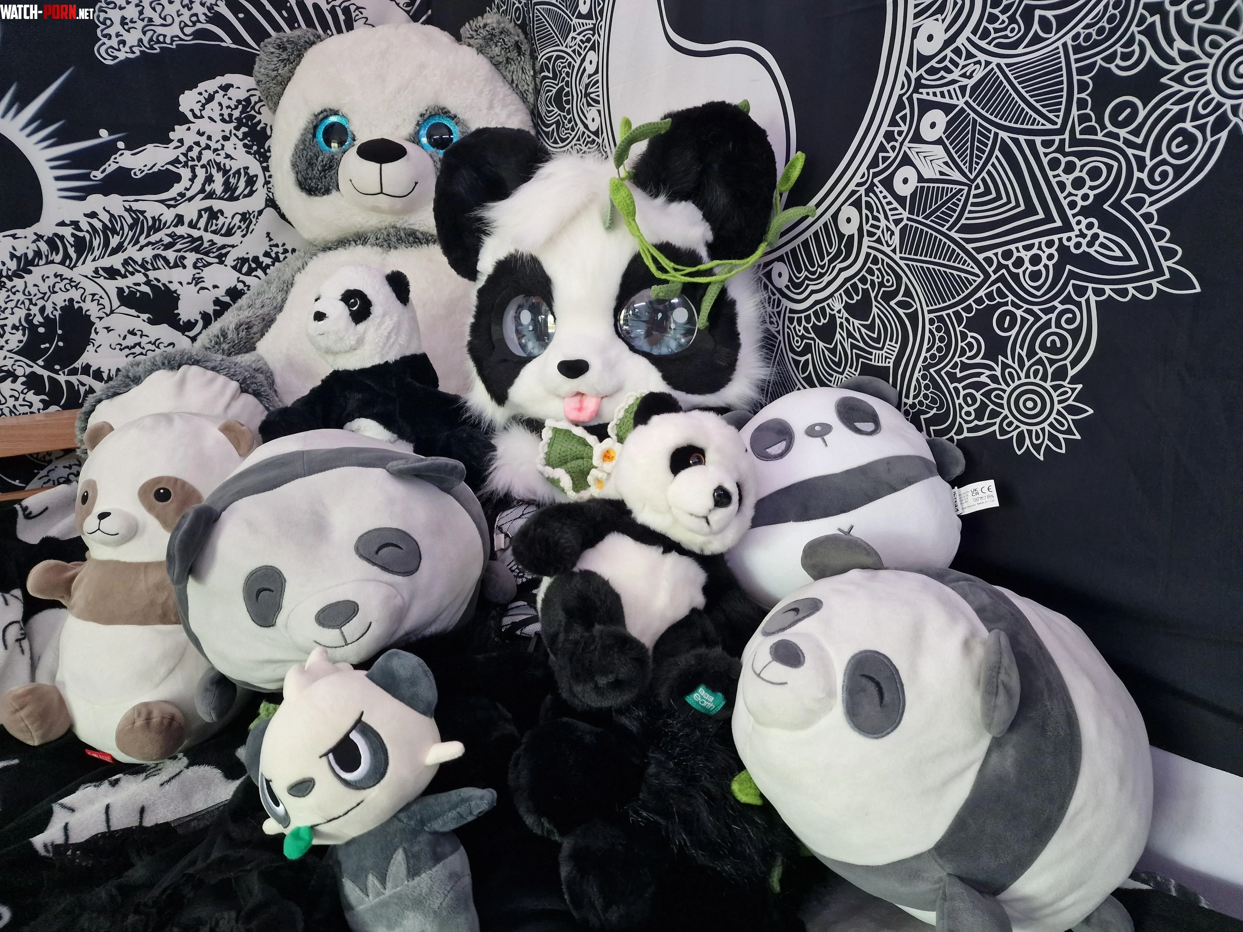 Spot the fursuiter  by Baileystarpup