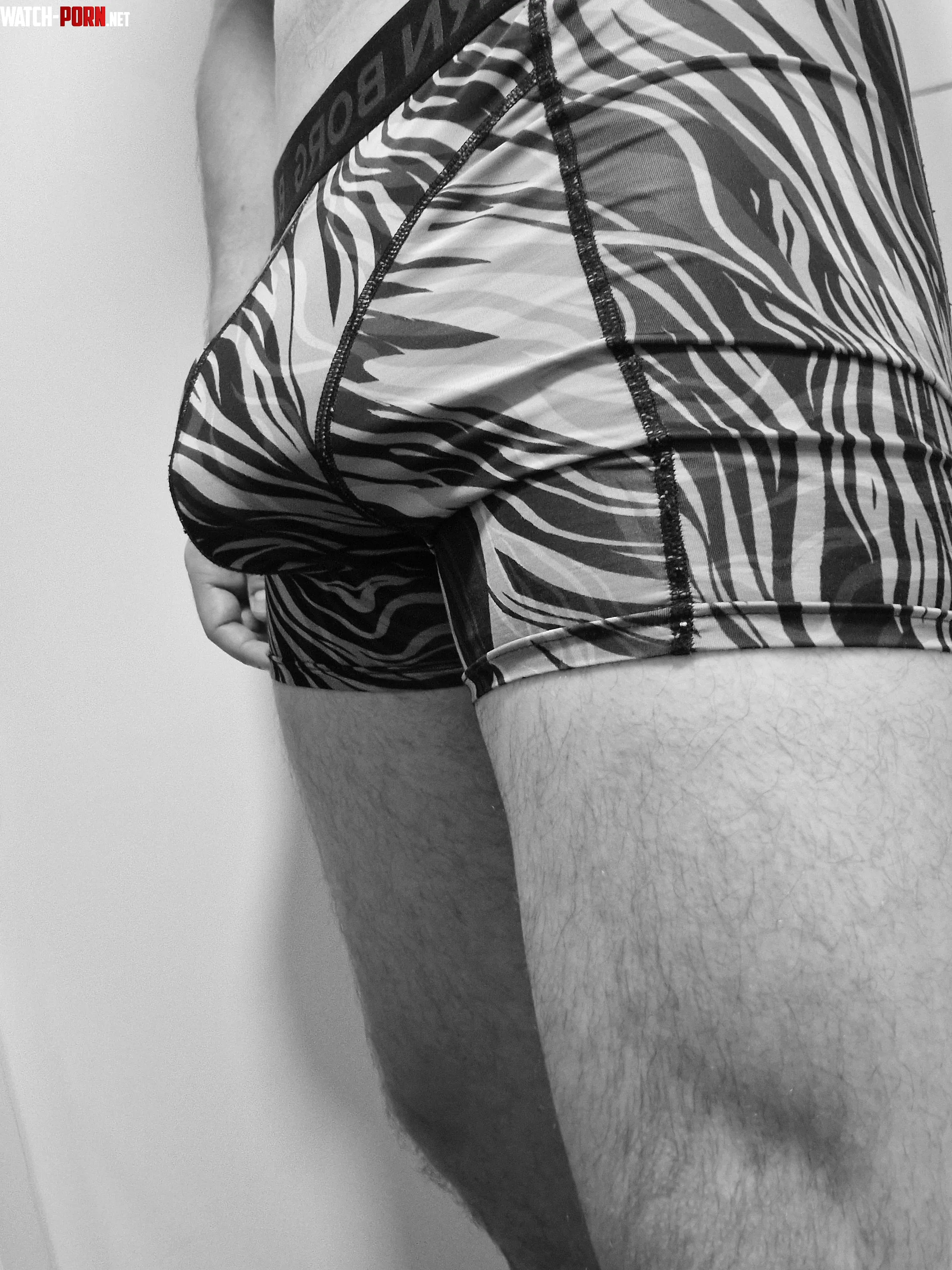 Animal print by Impressive-surprise_