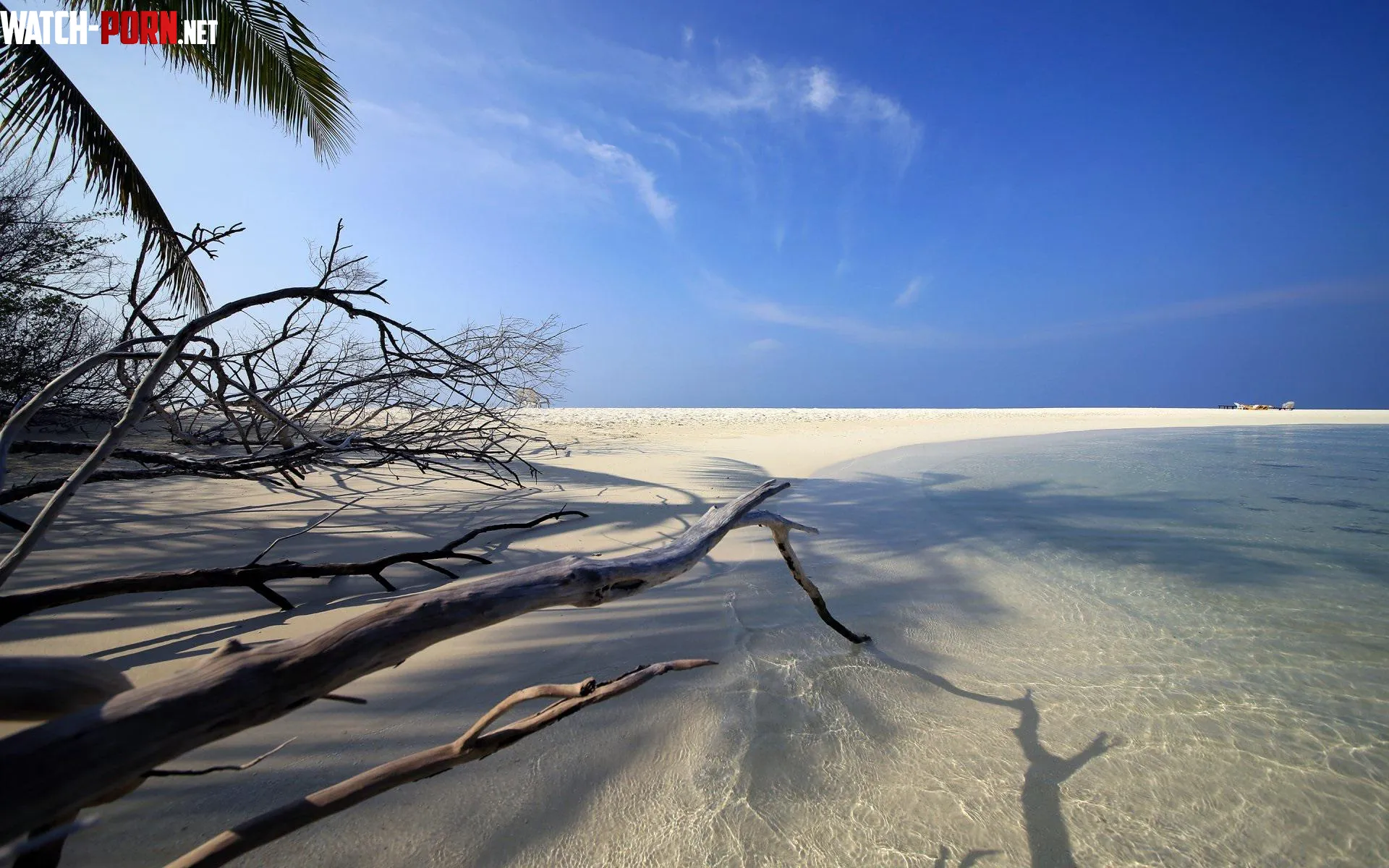 Golden sand on the beach of the Maldives by _13sparrow