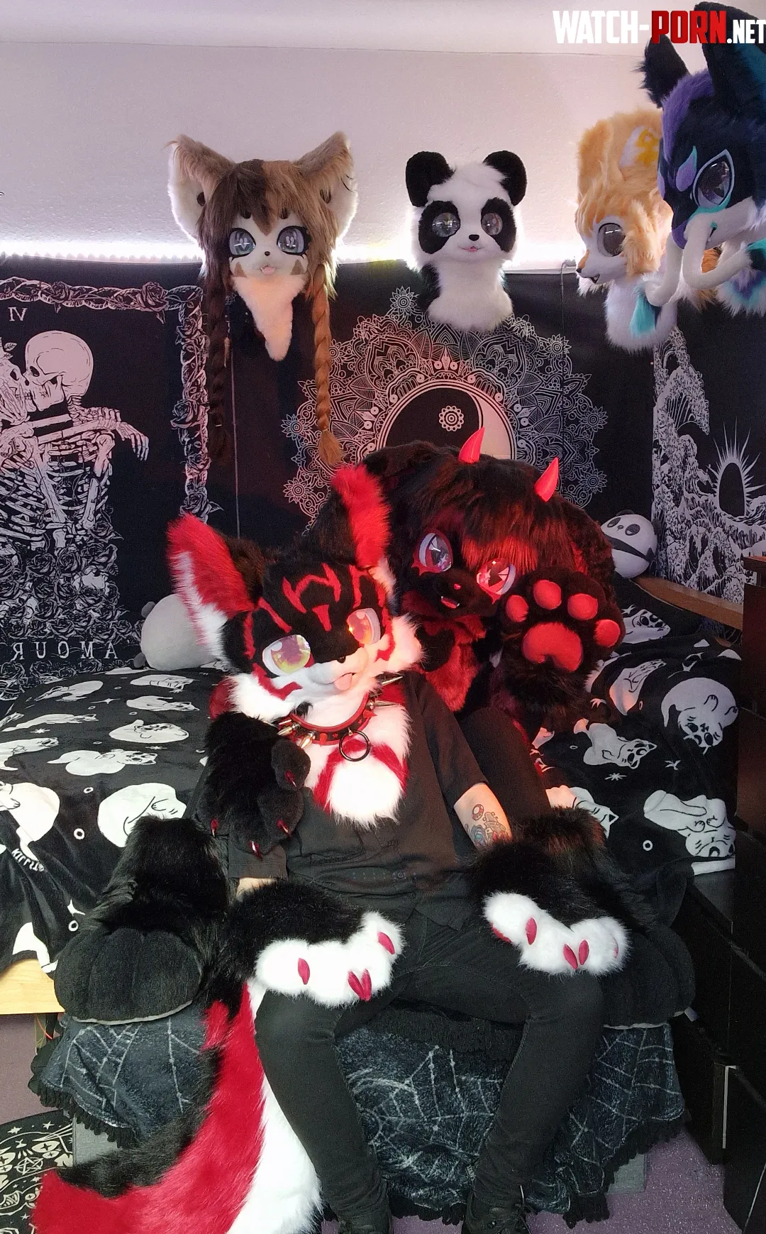 Fluffy little demons  by Baileystarpup
