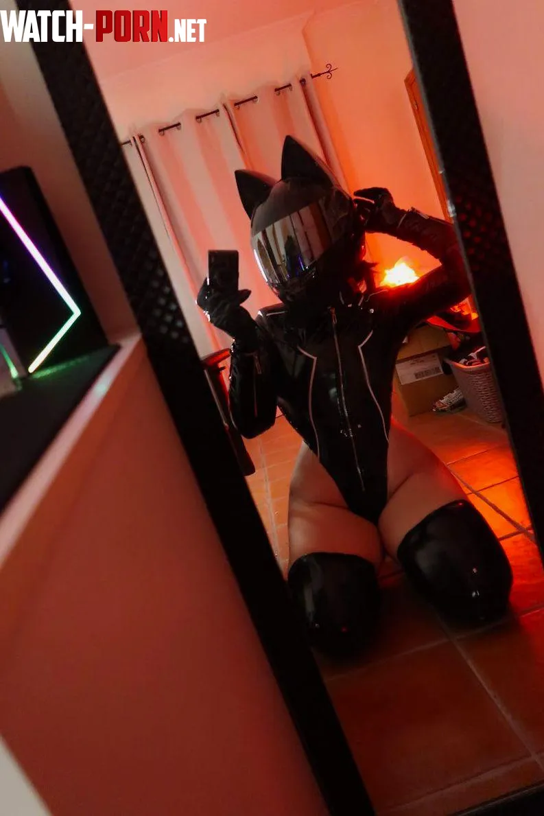 Celty bunny cosplay by Kuroitsune  by Kuroxkitsune
