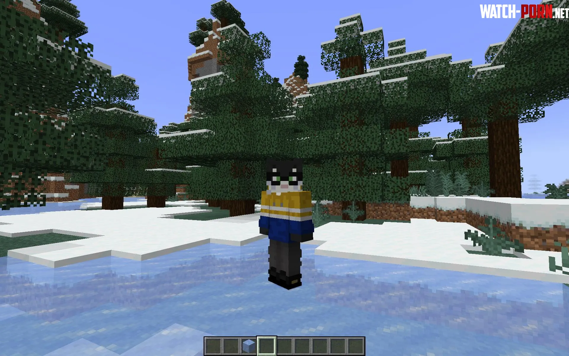 I turned my fursona into a Minecraft skin do yall like it by Adof_TheMinerKid