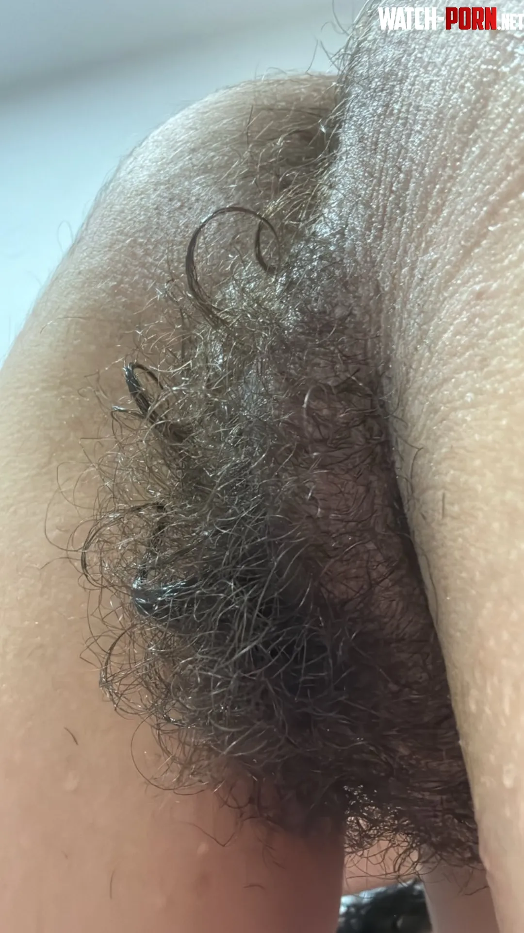 Its so curly after my shower by lickedyslit