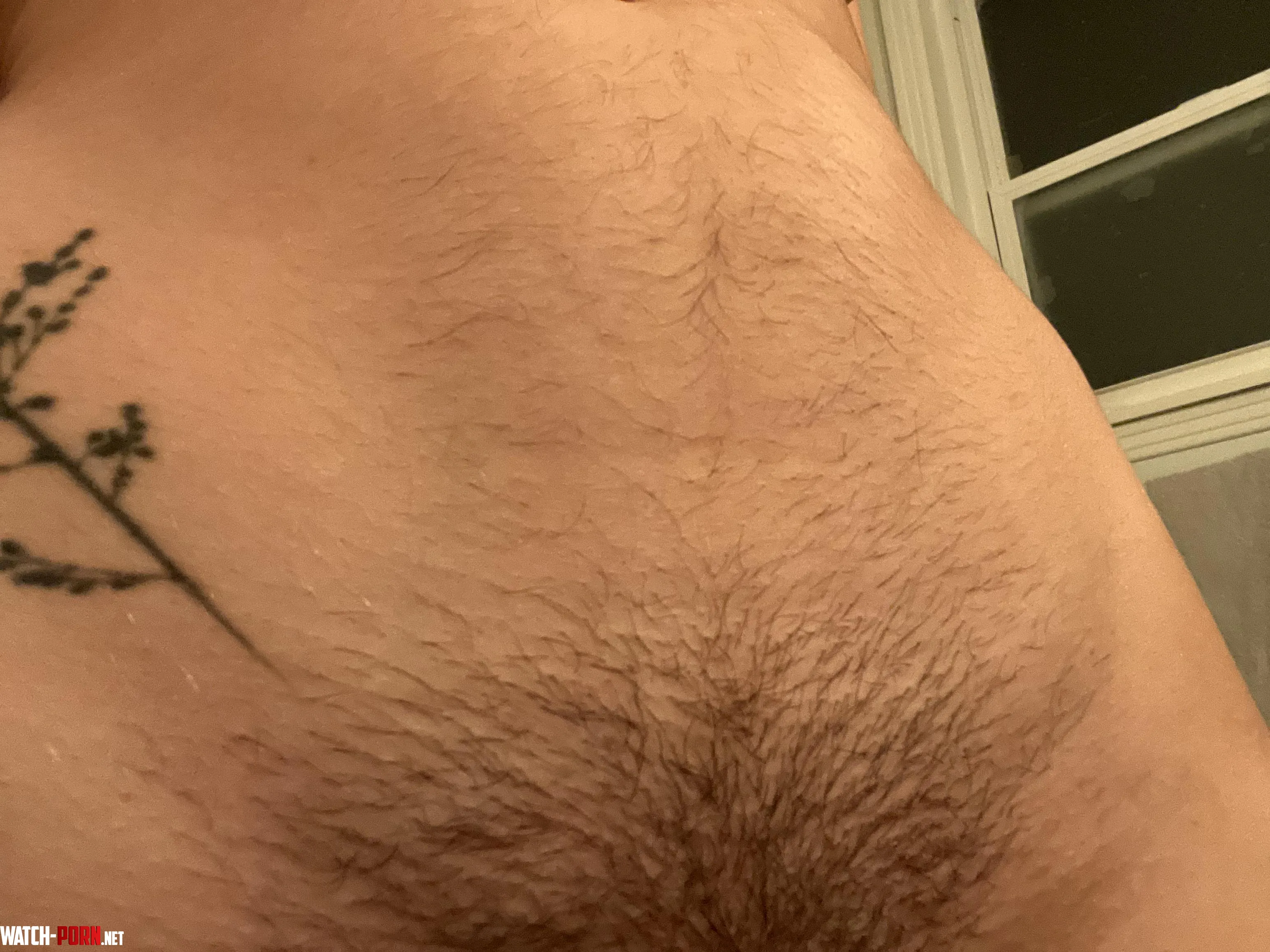 Im hairy everywhere  by maplesyrup_girl