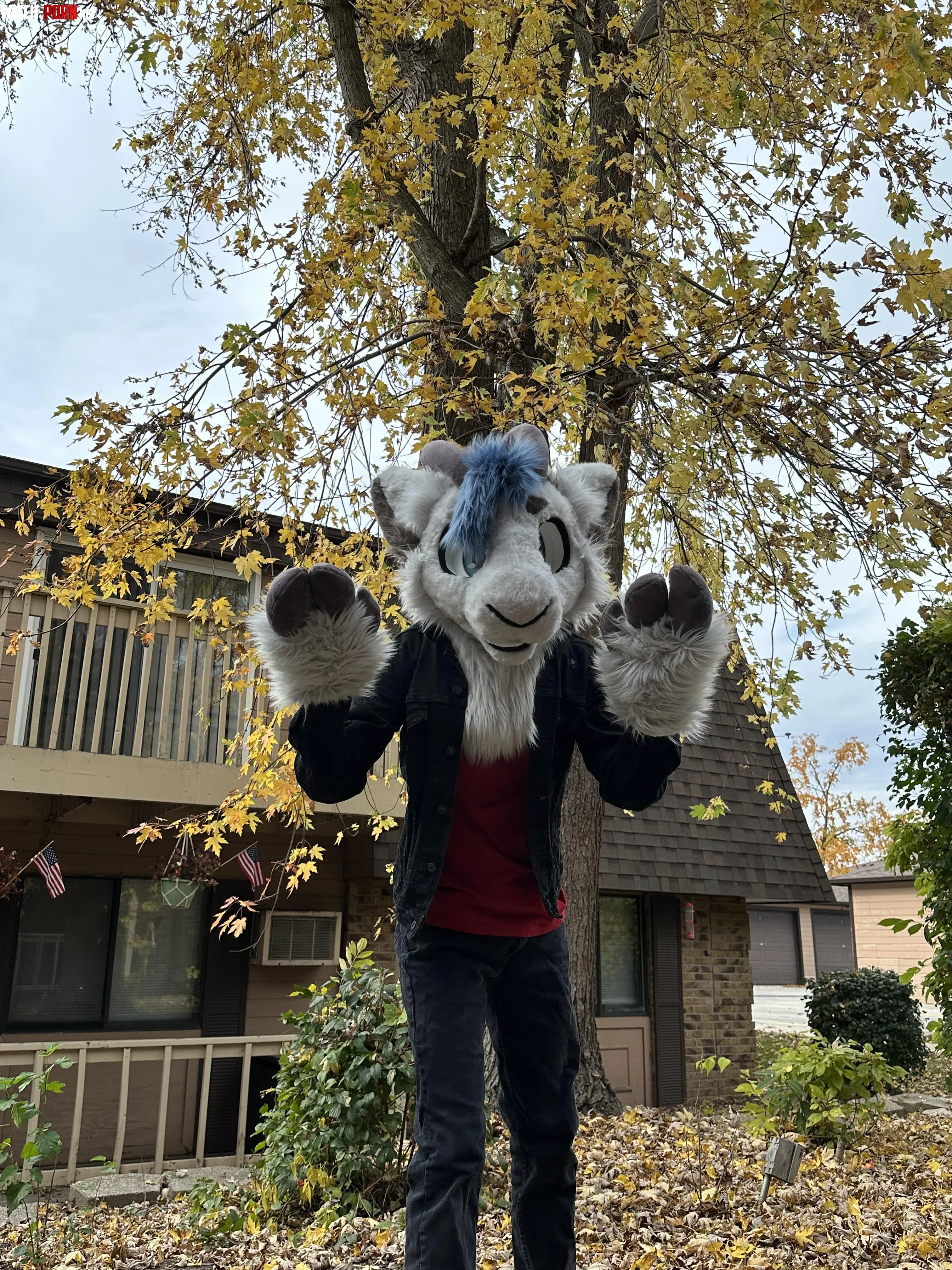 Autumn Goat by Hydah