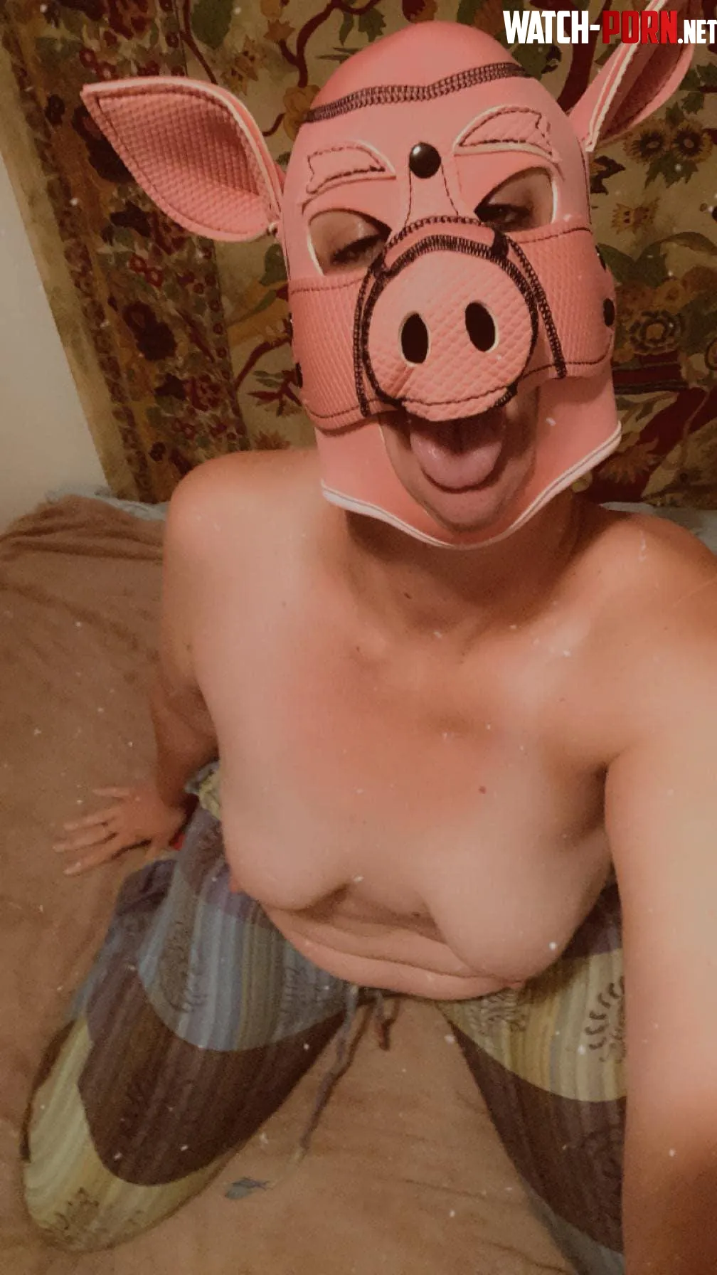 Isnt my piggy cute in her new hood by EvilTemplar212
