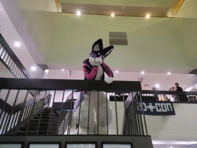 Thumbnail Curious Glances: The World of Furry Creations with PreyingShark