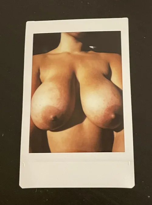 Thumbnail Pocket Surprise: Adventures in the Curvy World by msibanez