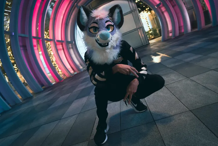 Thumbnail ZzyzxFox's Love for Furry Adventure & Attention