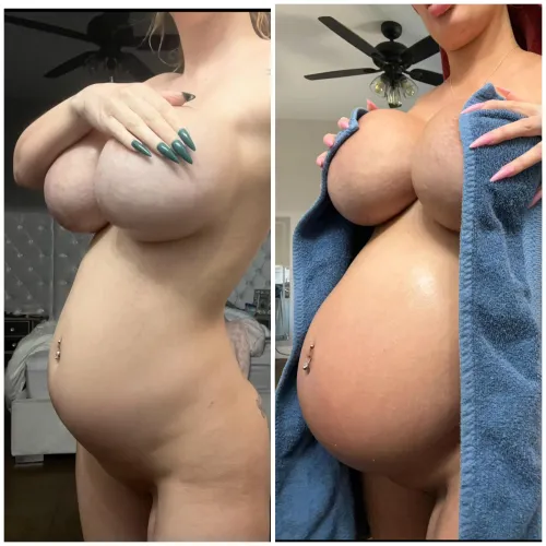 Thumbnail roxrosexo's Dilemma: 9 Weeks or 9 Months Preference