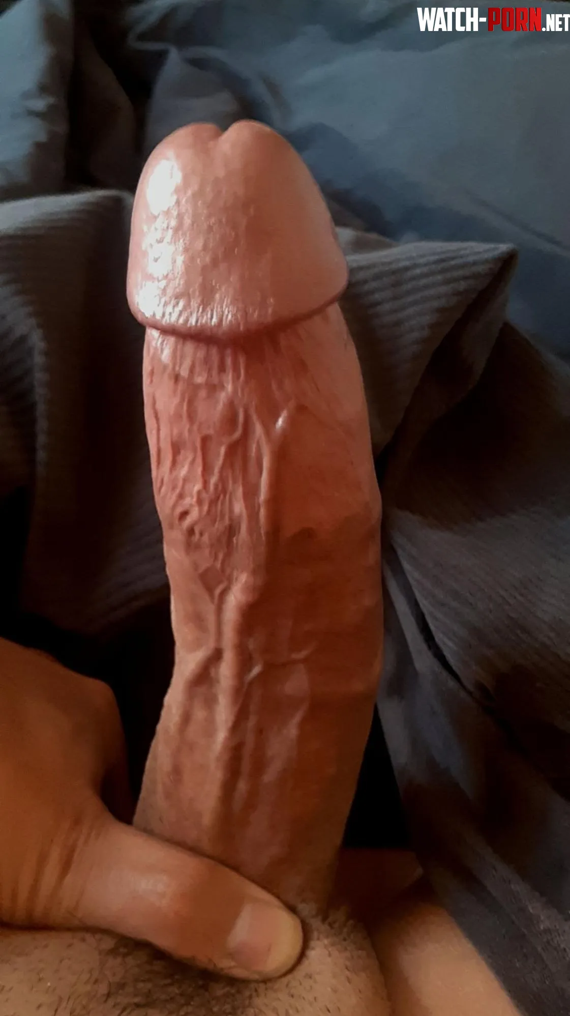 Who heres a fan of thickveiny cocks  by Brisbig