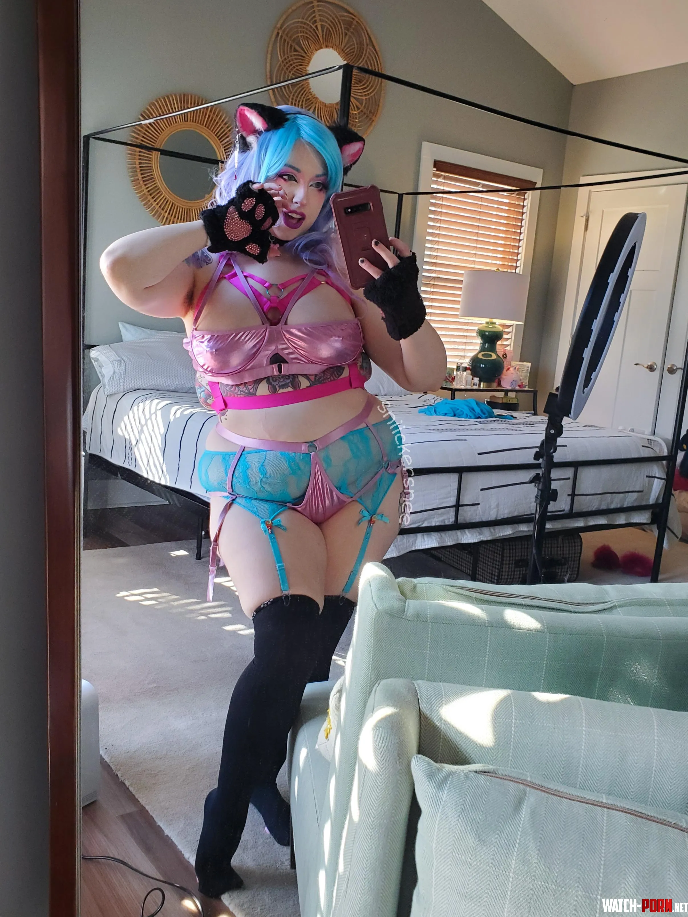 Curvy kitty by Sniickersnee