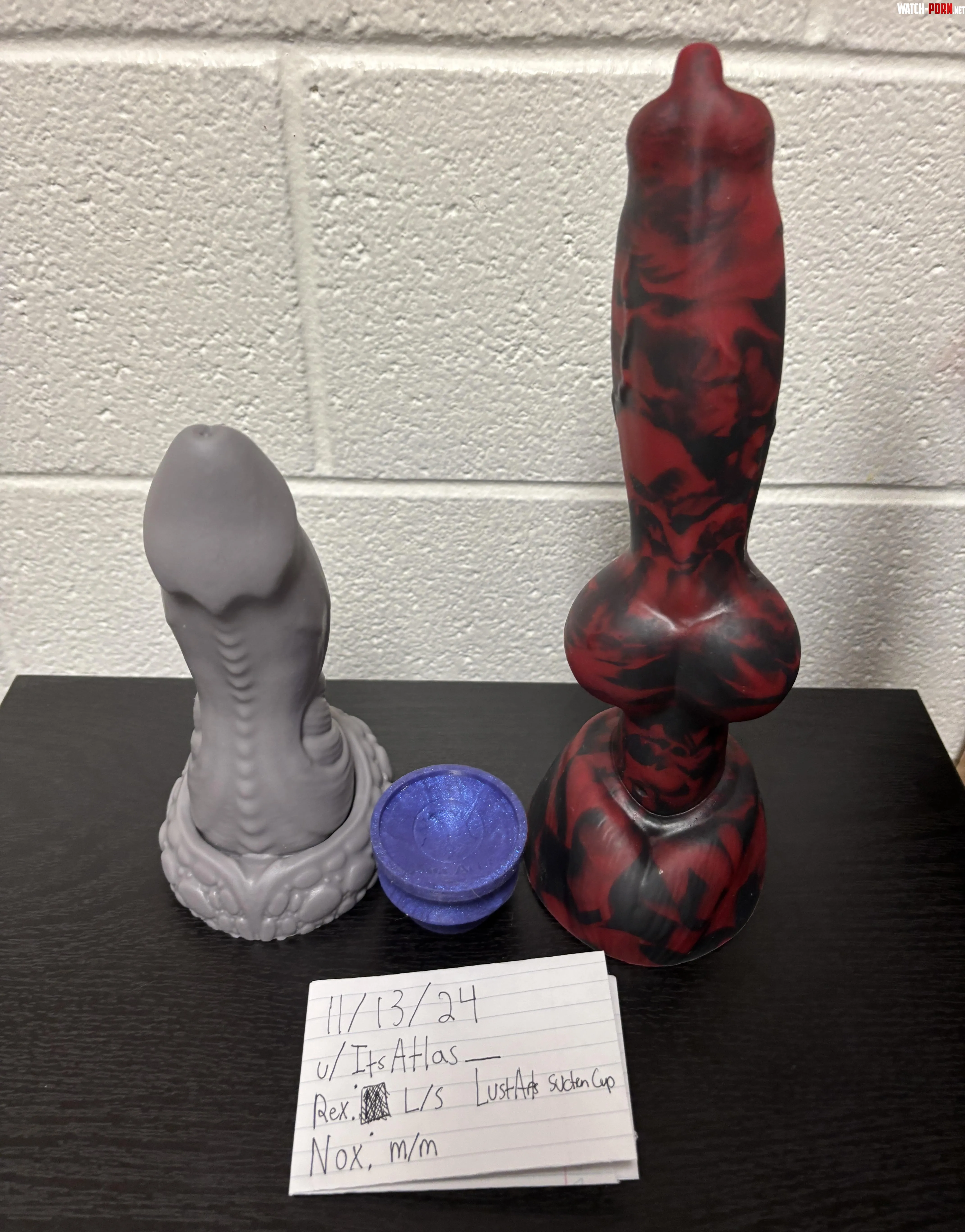 WTS Large Rex amp Medium Nox US by ItsAtlas___