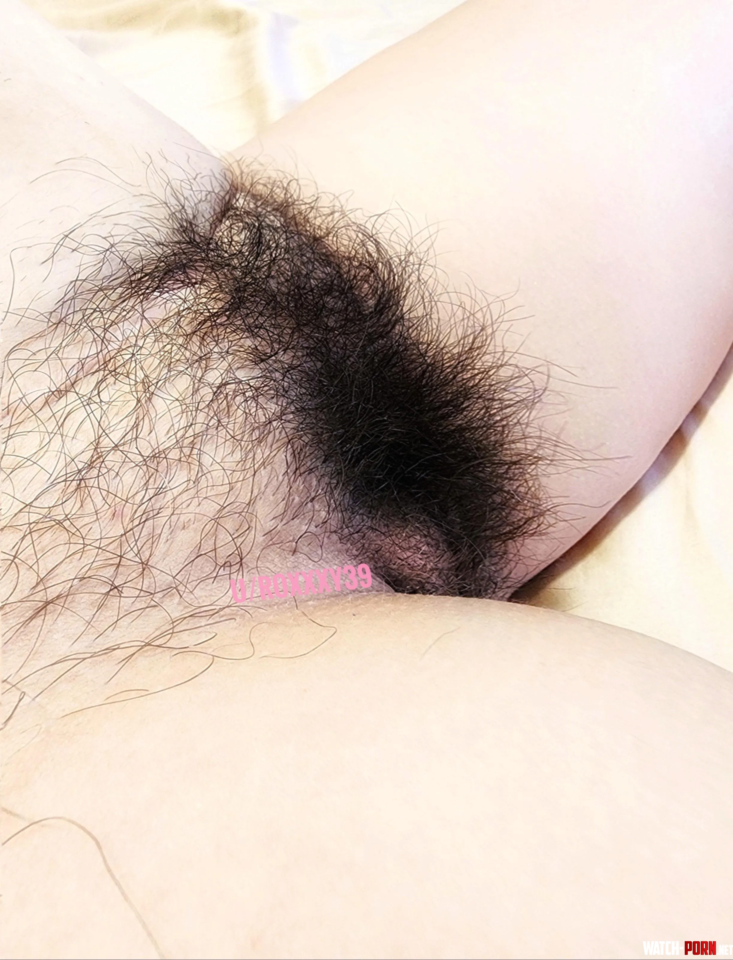 This is mommys pussy without shaving for a couple of months f43  by roxxxy39