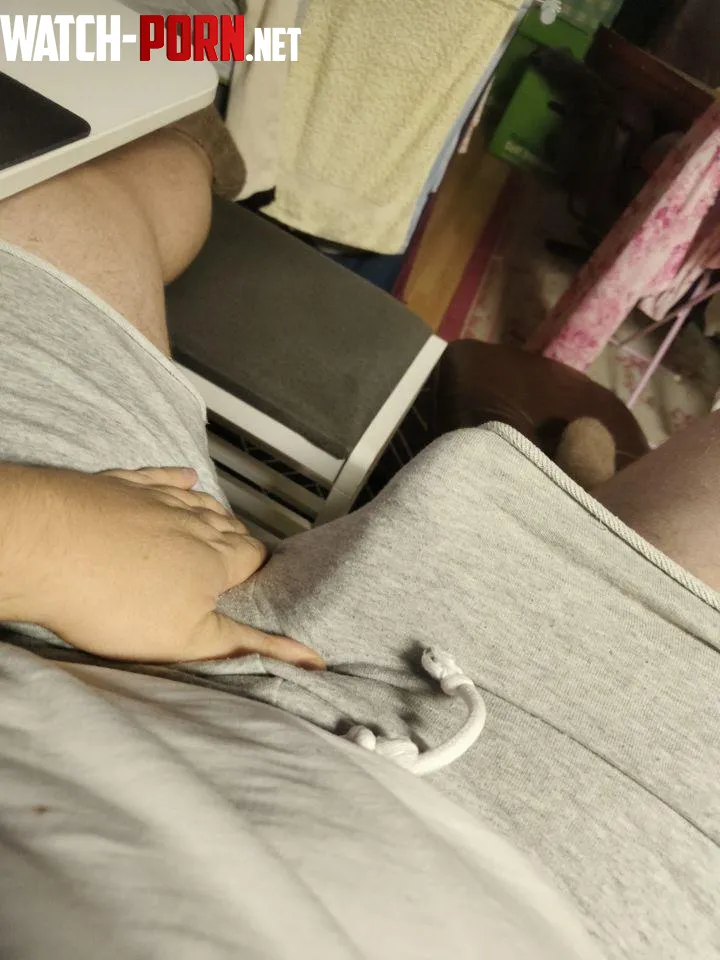 Hows my grey shorts 26 by meeeeh69