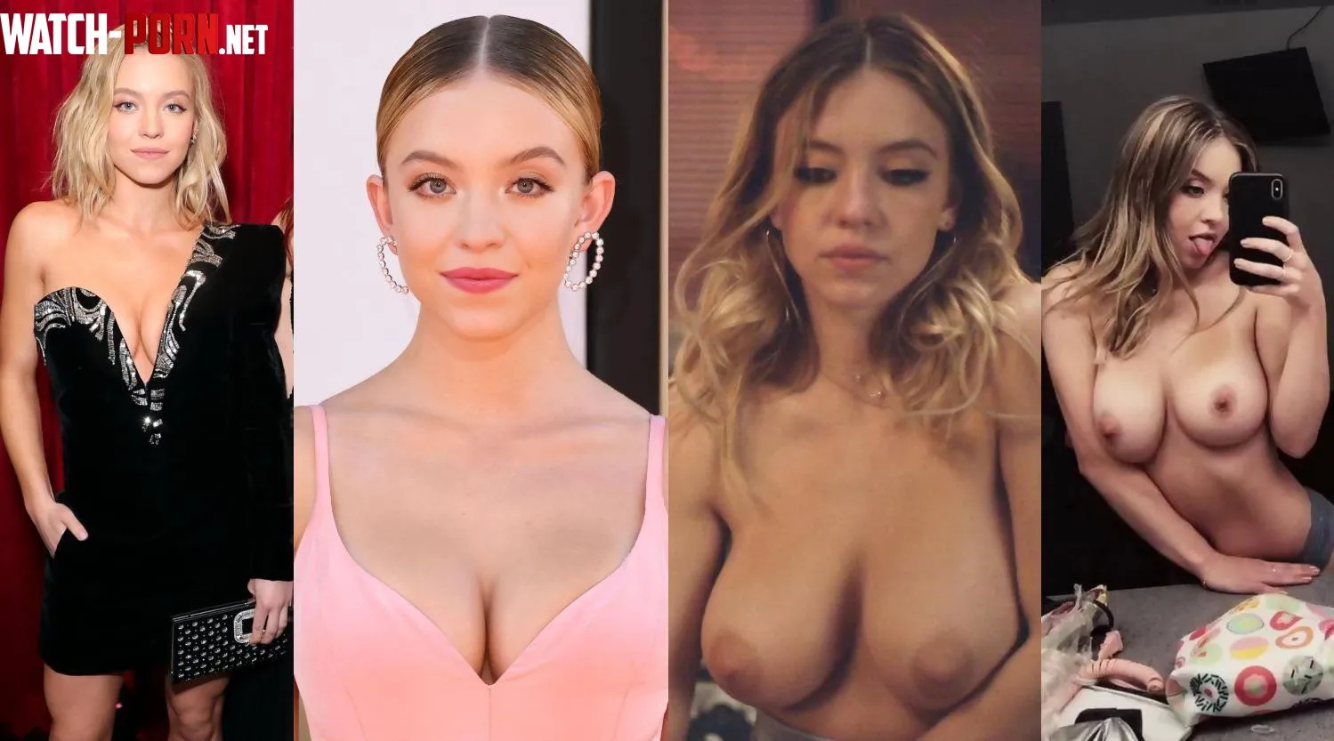 sydney sweeney by Visible-Meringue4009