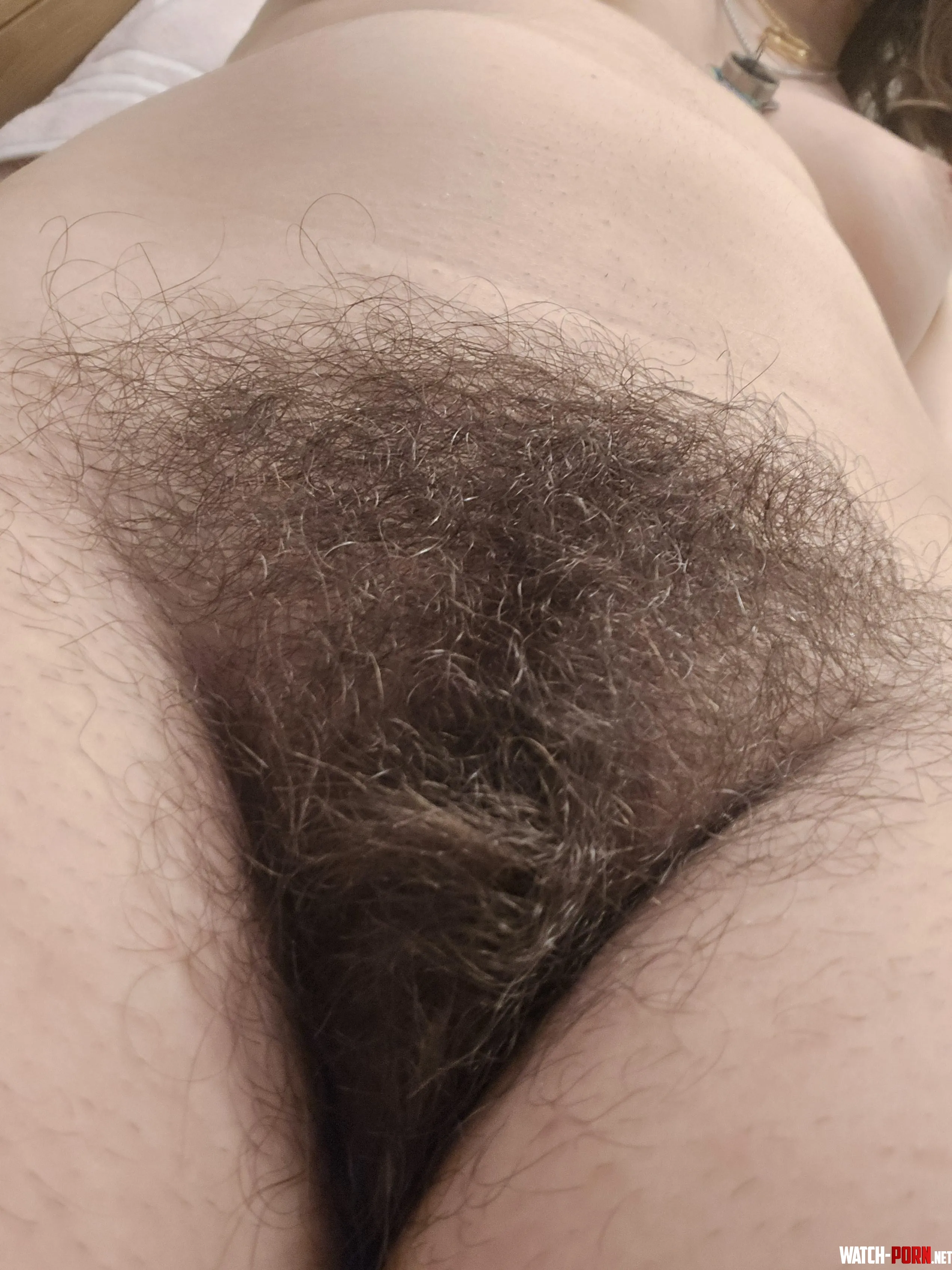 Showing off my super thick bush by electronicnotetaker