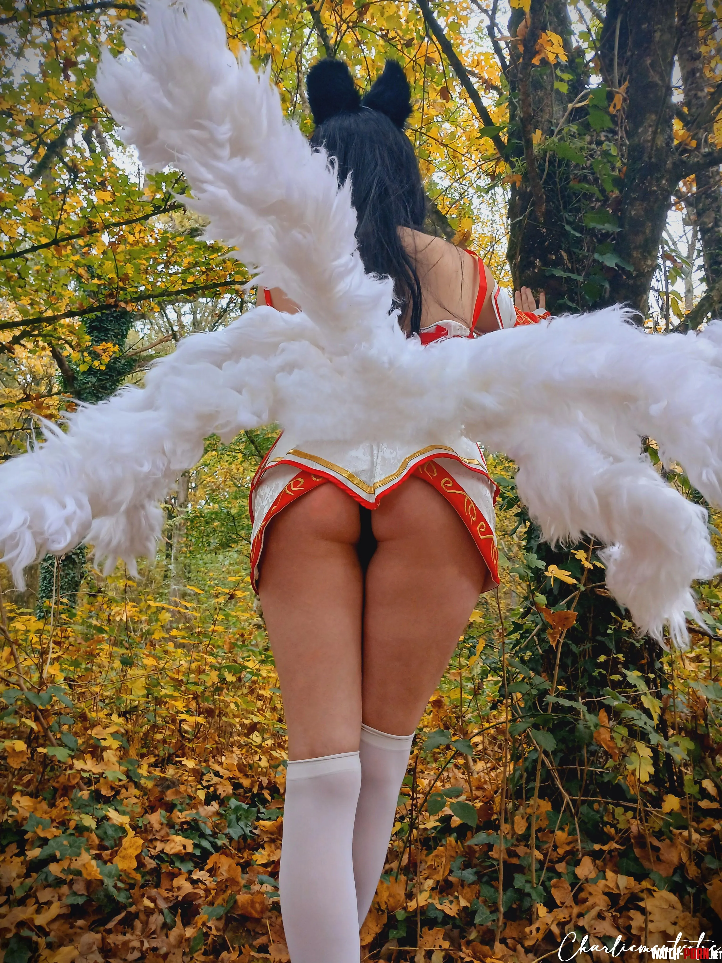 A wild Ahri walks by Charliementvotre