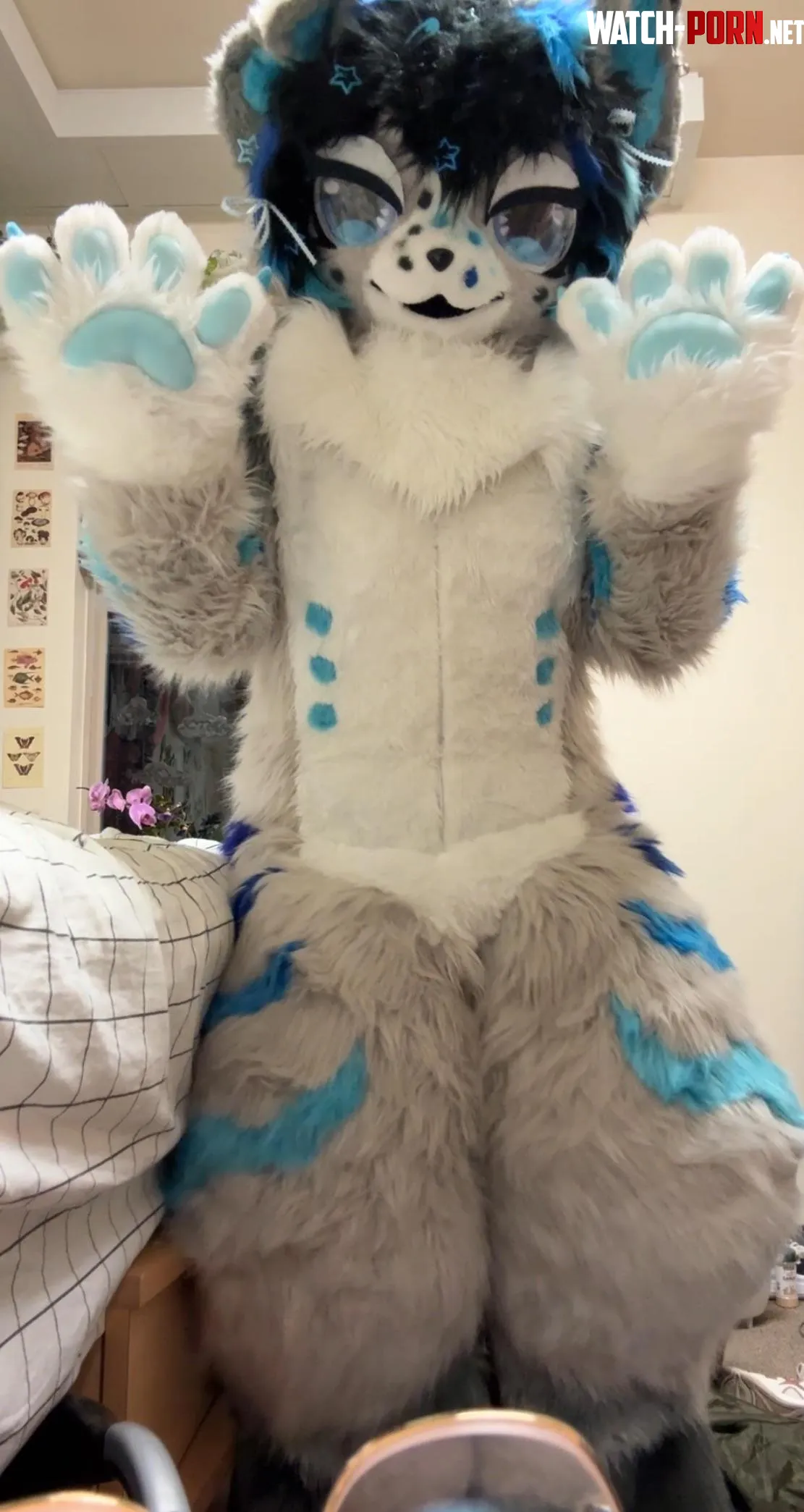 my legs are too wide for the dorm  by Cheddaruyy