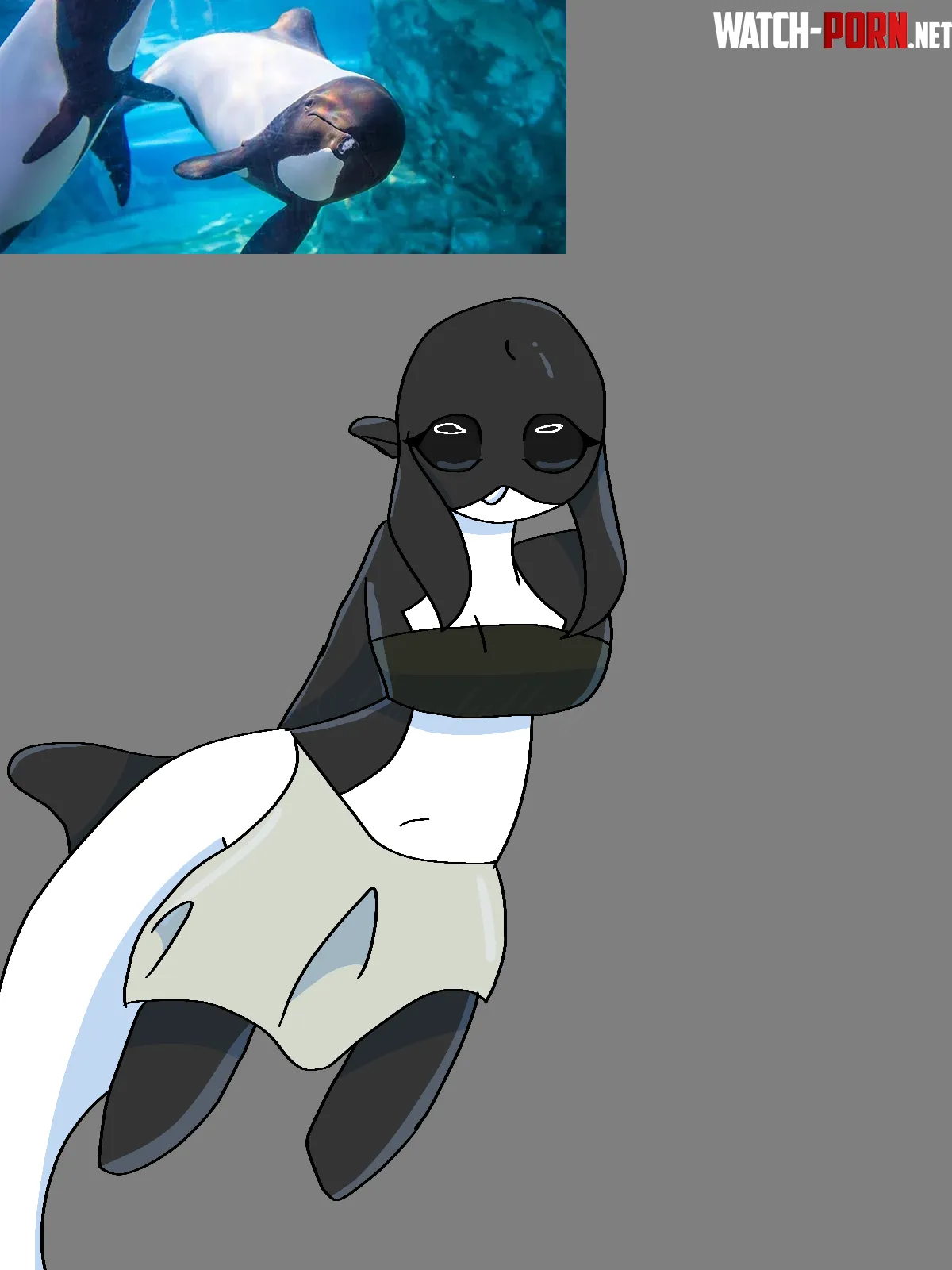 Commersons dolphin by Careful-Bug5665