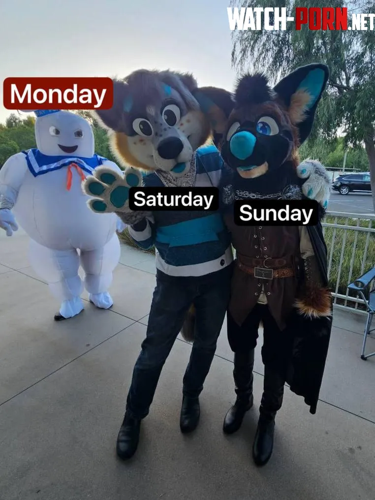 Weekends be like by Smaug54